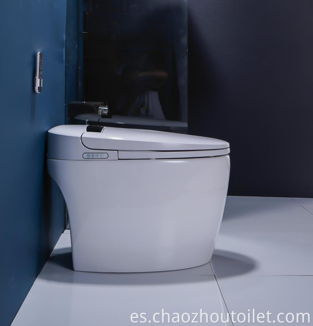 8102 4 Smart Toilet